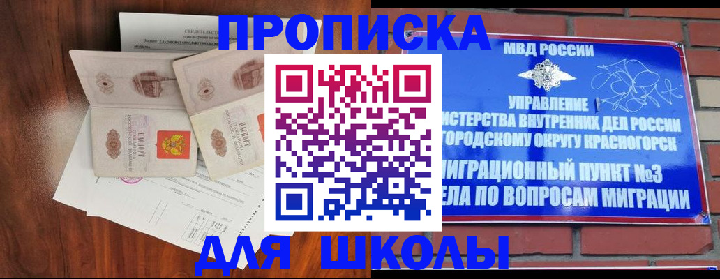 прописка поиск в Нововоронеже